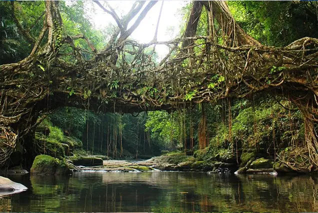 5 Nights / 6 Days Northeast - Guwahati and Shillong