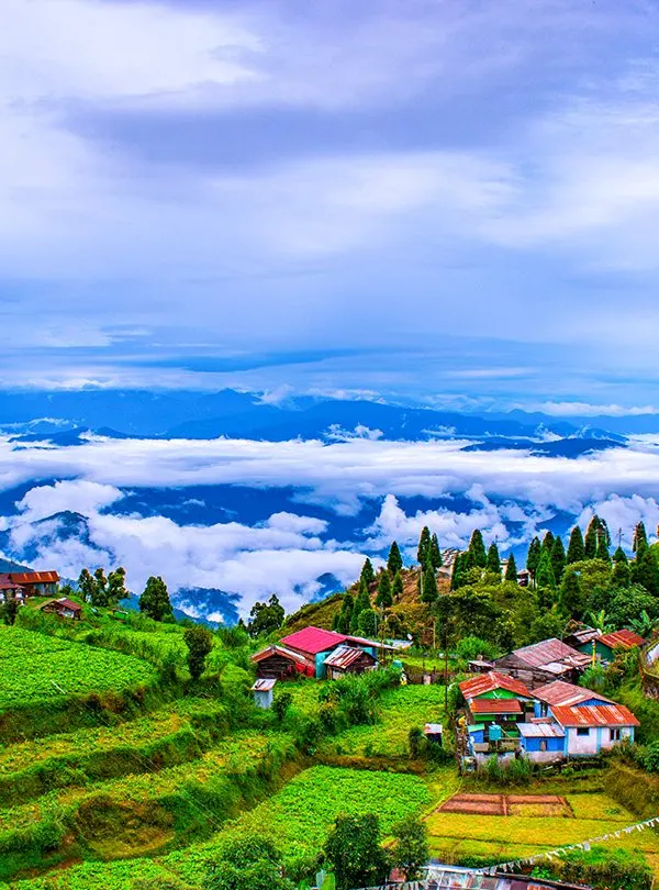 Sikkim - Darjeeling